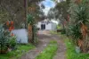 995 Balaklava Road, Bowmans, SA 5550-Image