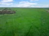 995 Balaklava Road, Bowmans, SA 5550-Image