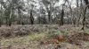 A47\PP3752, Tippetts Road, Mount Mercer, Vic 3352-Image