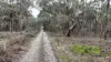 A47\PP3752, Tippetts Road, Mount Mercer, Vic 3352-Image