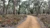 A47\PP3752, Tippetts Road, Mount Mercer, Vic 3352-Image