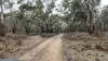 A47\PP3752, Tippetts Road, Mount Mercer, Vic 3352-Image