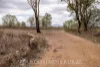 Address available on request, Alton Downs, Qld 4702-Image