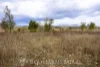 Address available on request, Alton Downs, Qld 4702-Image