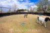 Address available on request, Alton Downs, Qld 4702-Image