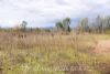 Address available on request, Alton Downs, Qld 4702-Image