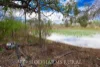 Address available on request, Alton Downs, Qld 4702-Image