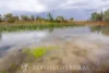 Address available on request, Alton Downs, Qld 4702-Image