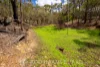 Address available on request, Alton Downs, Qld 4702-Image