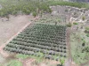 Address available on request, Alton Downs, Qld 4702-Image