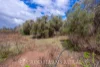 Address available on request, Alton Downs, Qld 4702-Image