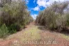 Address available on request, Alton Downs, Qld 4702-Image