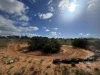 Address available on request, Black Hill, SA 5353-Image