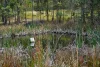 Address available on request, Boorook, NSW 2372-Image
