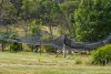 Address available on request, Boorook, NSW 2372-Image