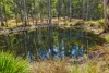 Address available on request, Boorook, NSW 2372-Image