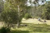 Address available on request, Boorook, NSW 2372-Image