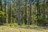 Address available on request, Boorook, NSW 2372-Image