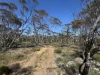 Address available on request, Fisher, SA 5354-Image