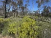 Address available on request, Fisher, SA 5354-Image