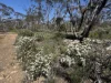 Address available on request, Fisher, SA 5354-Image