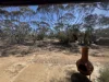 Address available on request, Fisher, SA 5354-Image