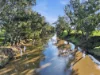 Address available on request, Forbes, NSW 2871-Image
