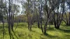 Address available on request, Gingin, WA 6503-Image