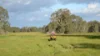 Address available on request, Gingin, WA 6503-Image