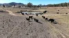 Address available on request, Gulgong, NSW 2852-Image