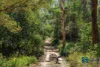 Address available on request, Myrtle Creek, NSW 2469