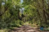 Address available on request, Myrtle Creek, NSW 2469-Image