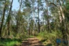 Address available on request, Myrtle Creek, NSW 2469-Image