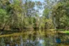 Address available on request, Myrtle Creek, NSW 2469-Image