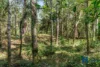 Address available on request, Myrtle Creek, NSW 2469-Image