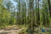 Address available on request, Myrtle Creek, NSW 2469-Image