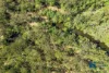 Address available on request, Myrtle Creek, NSW 2469-Image