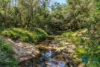Address available on request, Myrtle Creek, NSW 2469-Image