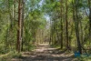 Address available on request, Myrtle Creek, NSW 2469-Image