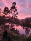 Address available on request, Paddys Flat, NSW 2469-Image