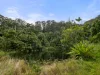 Address available on request, Stokers Siding, NSW 2484-Image