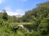 Address available on request, Stokers Siding, NSW 2484-Image