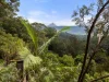 Address available on request, Stokers Siding, NSW 2484-Image