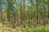 Address available on request, Tabulam, NSW 2469-Image