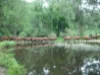 'Athelglow' A200B Princes Highway, Berry NSW 2535-Image