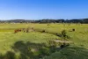 'Athelglow' A200B Princes Highway, Berry NSW 2535-Image