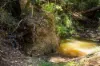 "Bellbird Ridge"/445 Ted Road, Geham QLD 4352-Image