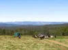"Bellbird Ridge"/445 Ted Road, Geham QLD 4352-Image