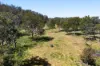 "Bellbird Ridge"/445 Ted Road, Geham QLD 4352-Image