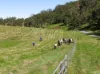 "Bellbird Ridge"/445 Ted Road, Geham QLD 4352-Image